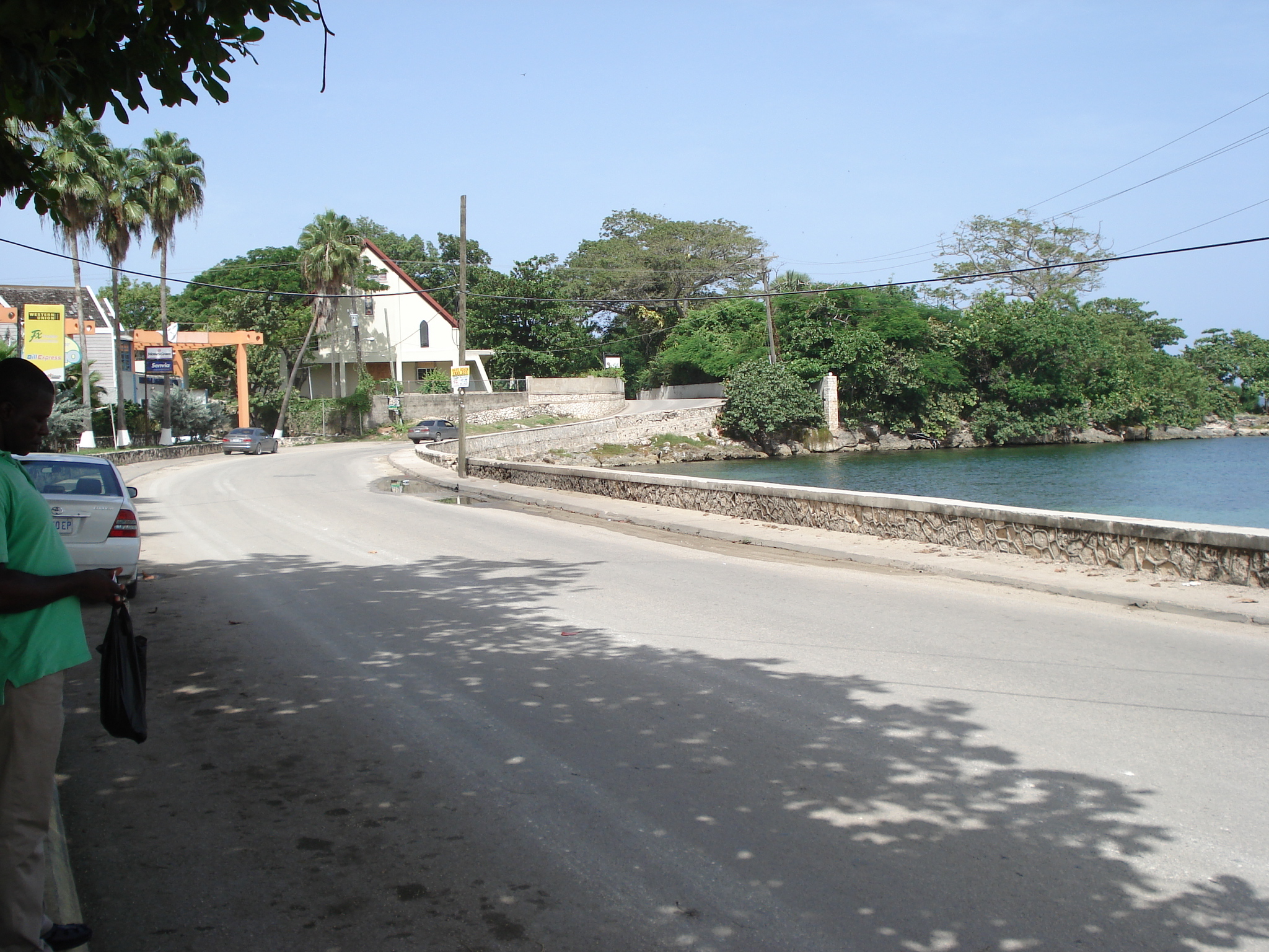 Jamacia 2010 119[1873].jpg